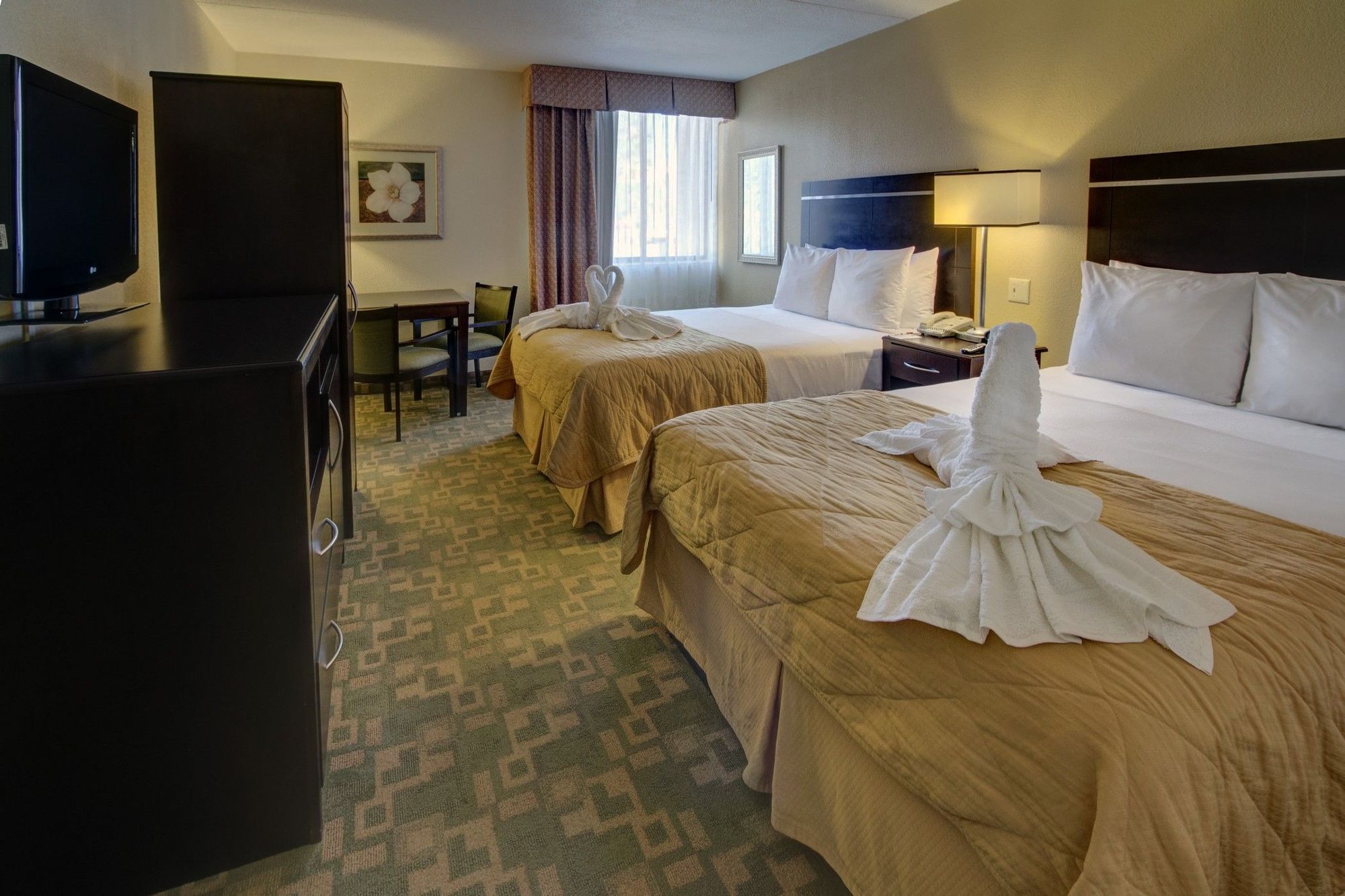 Clarion Inn & Suites At International Drive Williamsburg Værelse billede